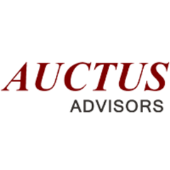 Auctus Advisors Solution partners